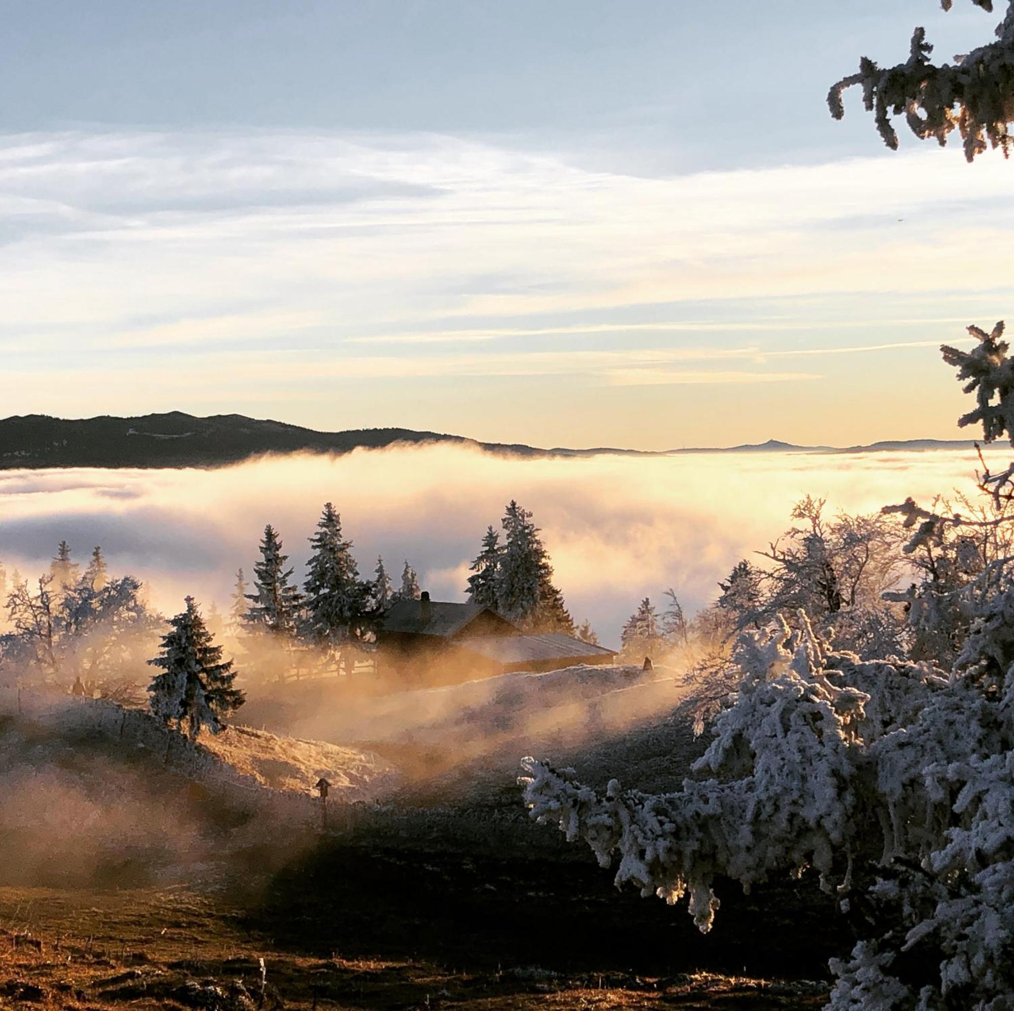 La Croisee Des Chemins Premier Bagian luar foto